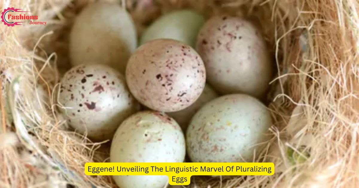 Eggene! Unveiling The Linguistic Marvel Of Pluralizing Eggs