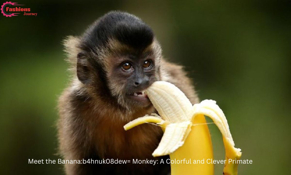 Meet the Banana:b4hnuk08dew= Monkey: A Colorful and Clever Primate