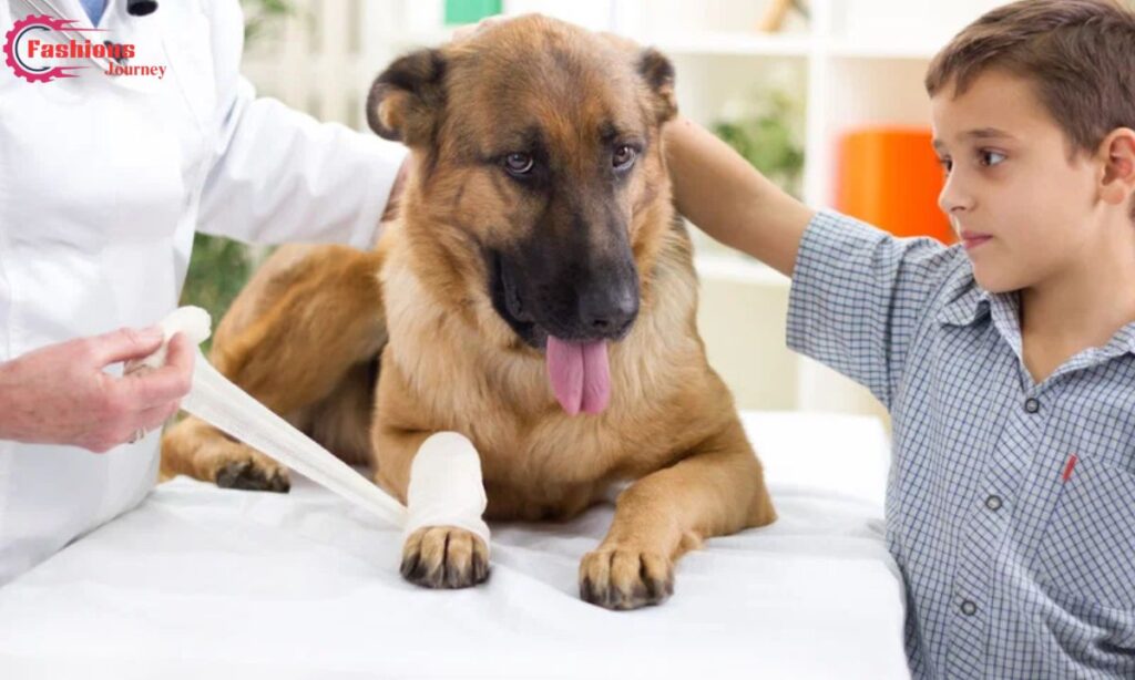 Vaccination The Key to Your Pet's Health