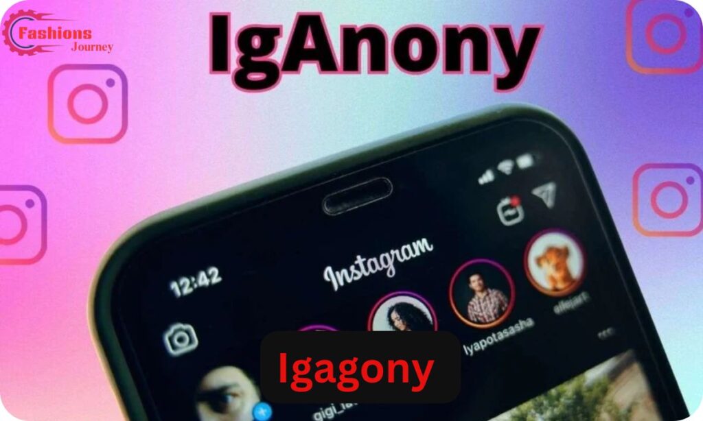 User Experience: What Do People Think of IGAnony?